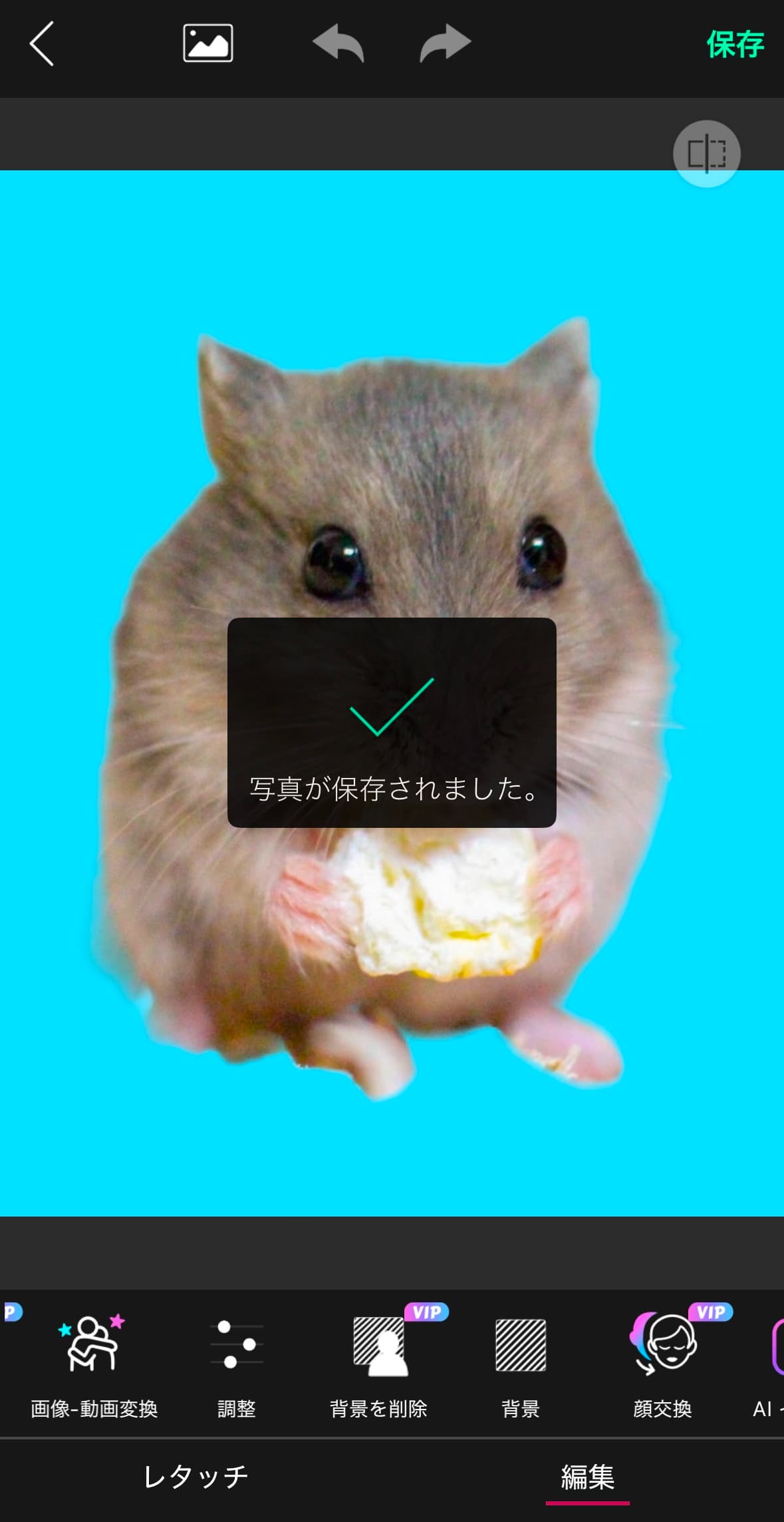 写真を保存
