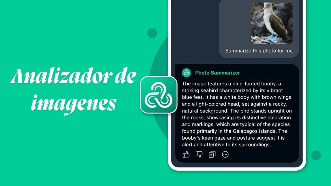 Analizador de imagene