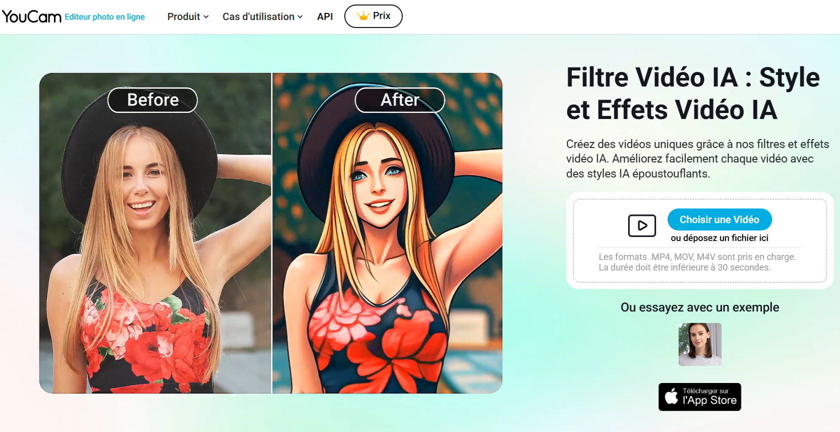 Meilleur video cartoonizer en ligne