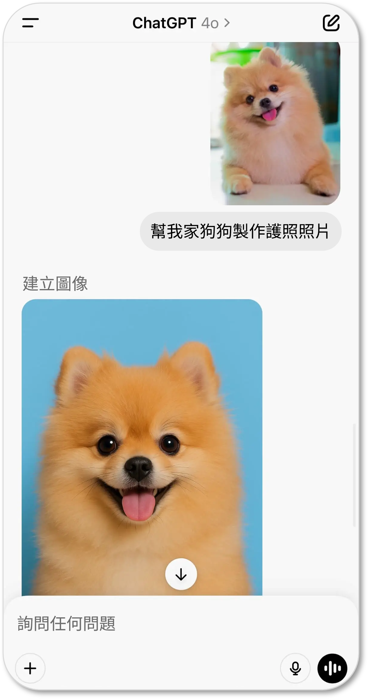 如何用ChatGPT製作寵物護照