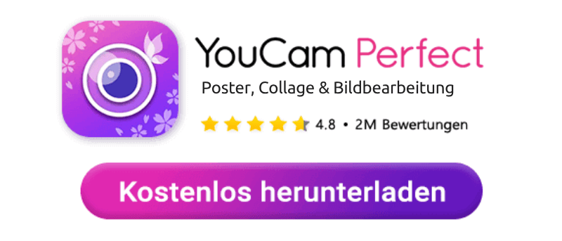 Download-Button für die YouCam Perfect App
