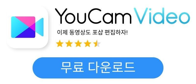 YouCam Video 다운로드