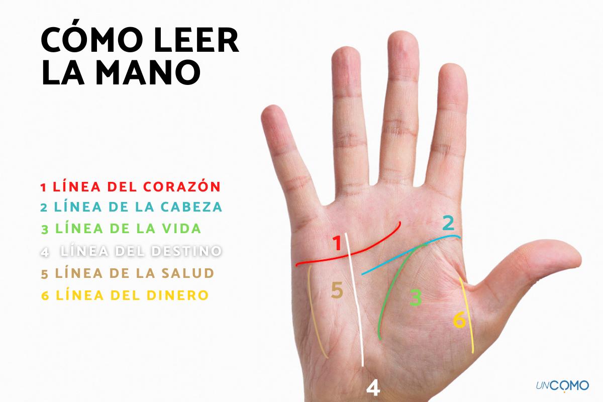 leer las manos