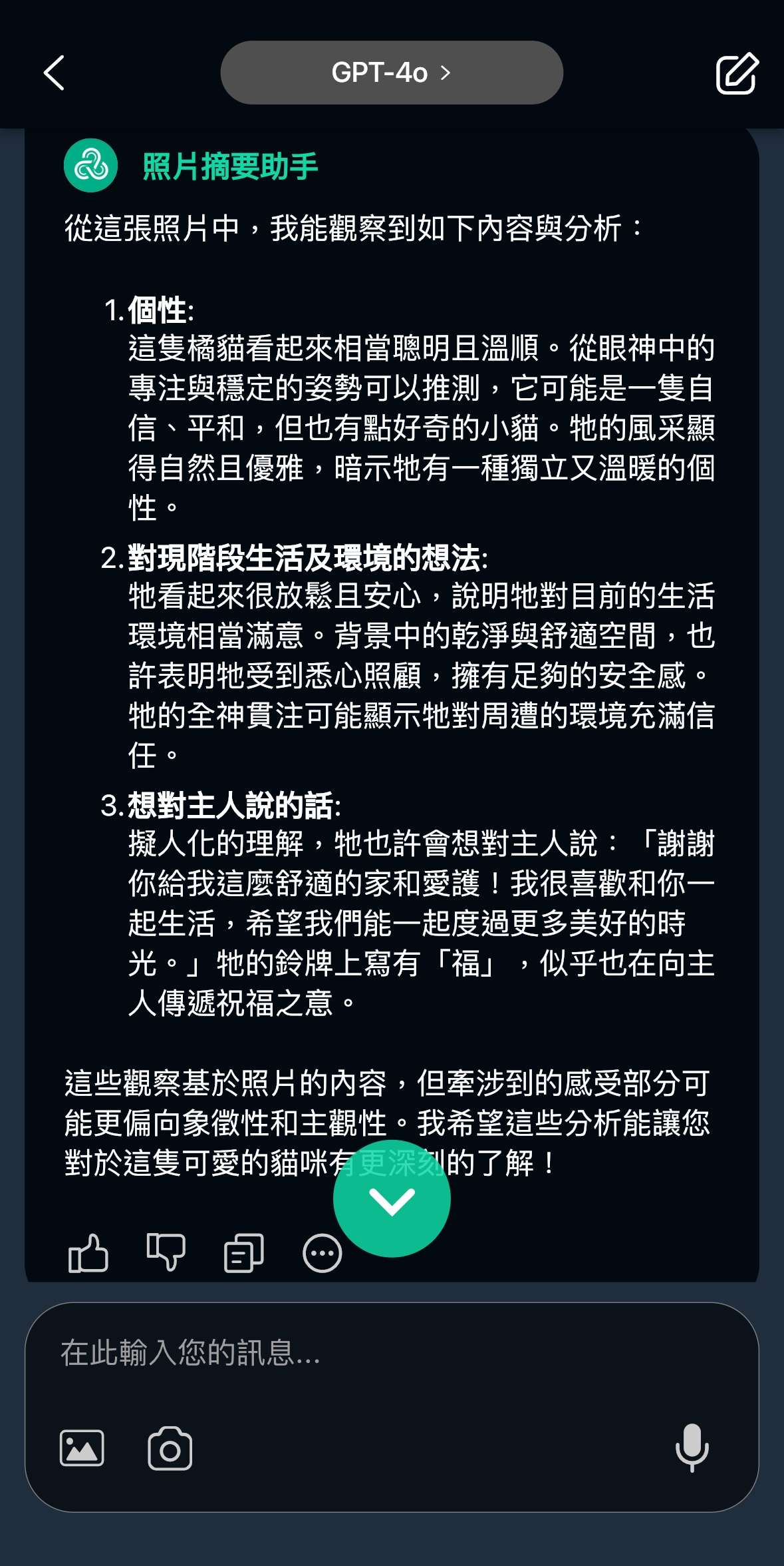 玩美AI Chat_寵物溝通_AI寵物溝通