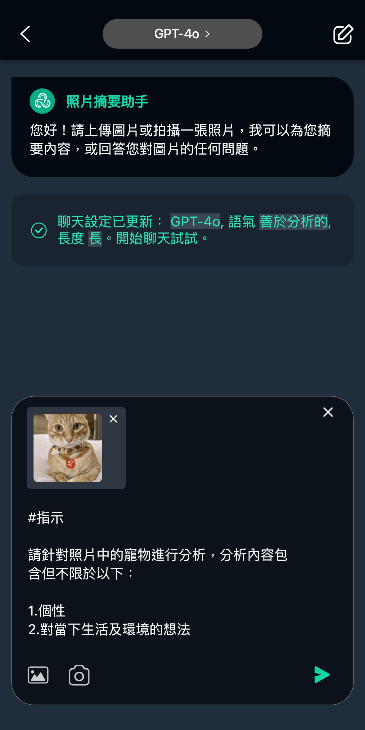 玩美AI Chat_寵物溝通_AI寵物溝通