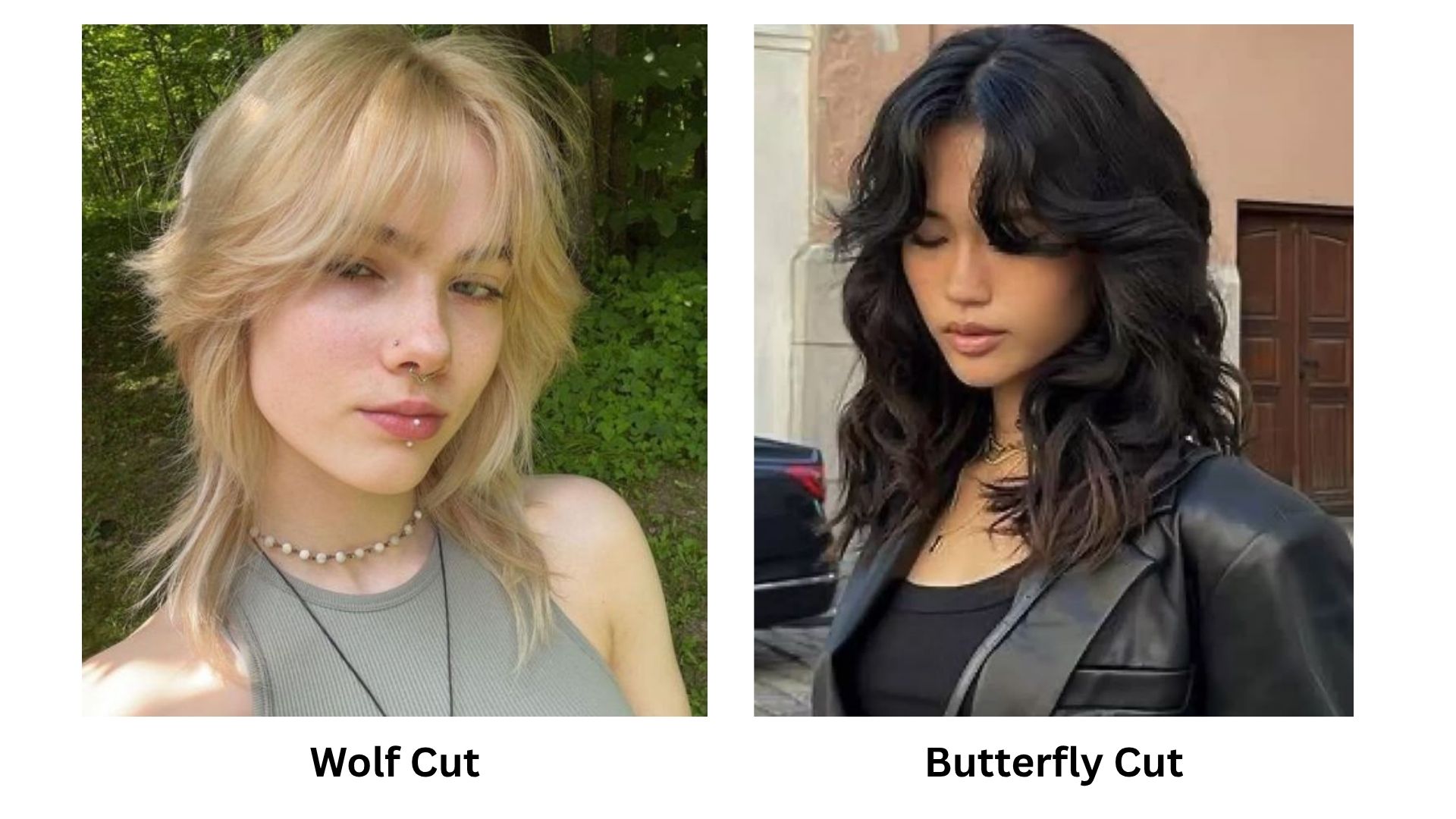 Wolf cut vs. butterfly cut