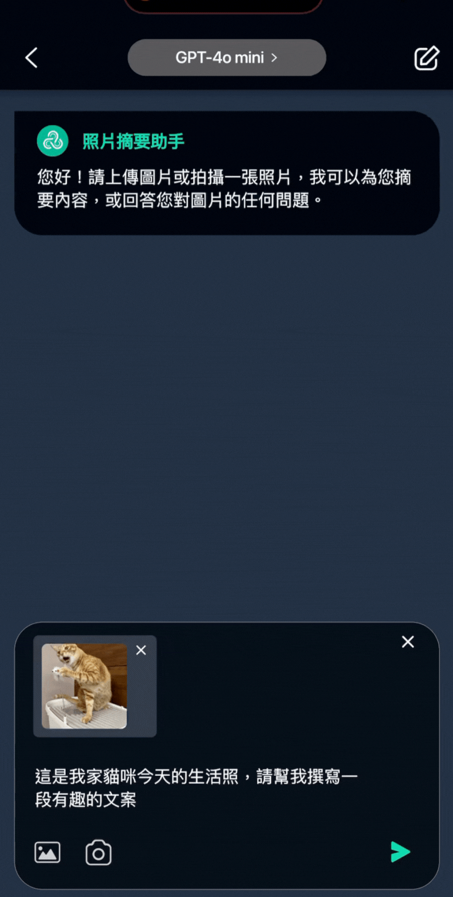 玩美AI Chat_照片摘要