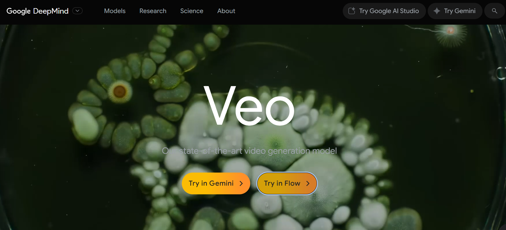 Google Veo 3 使用教學