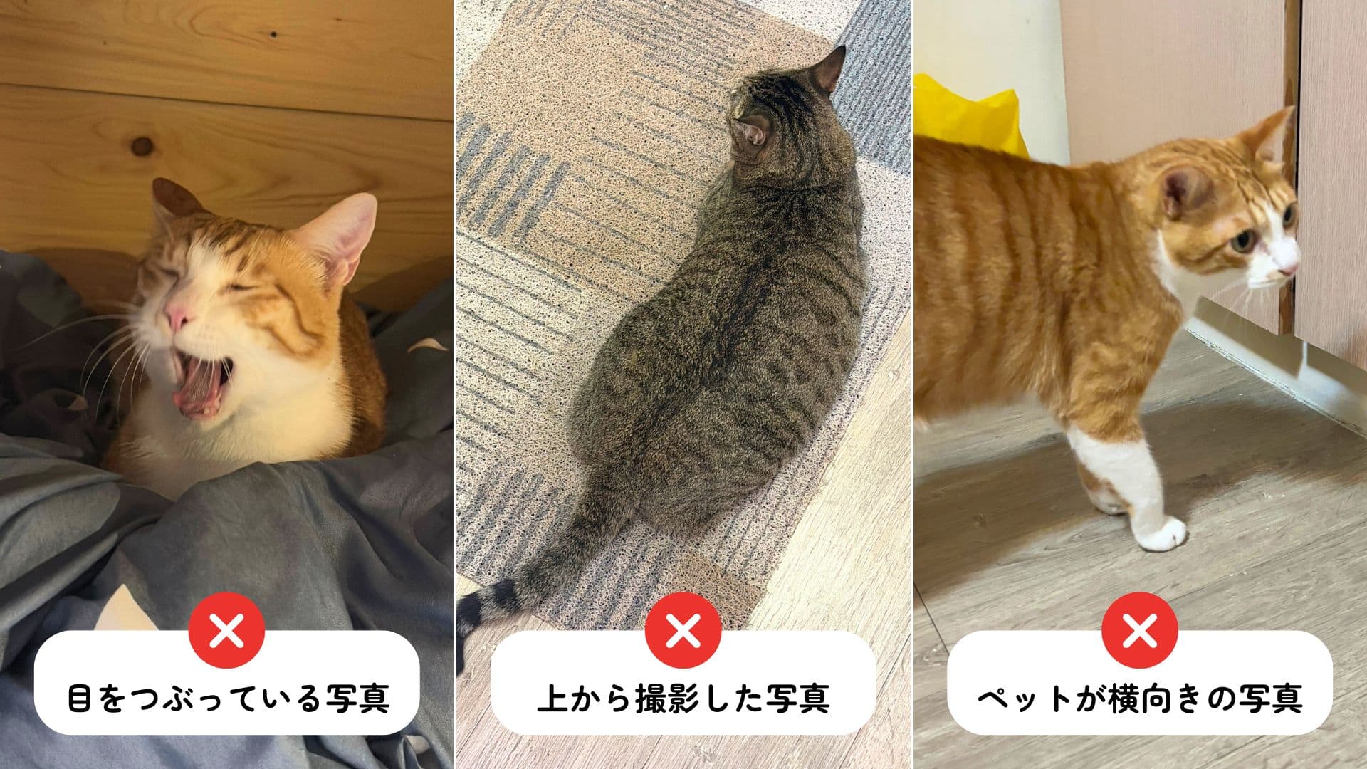 NG写真の例