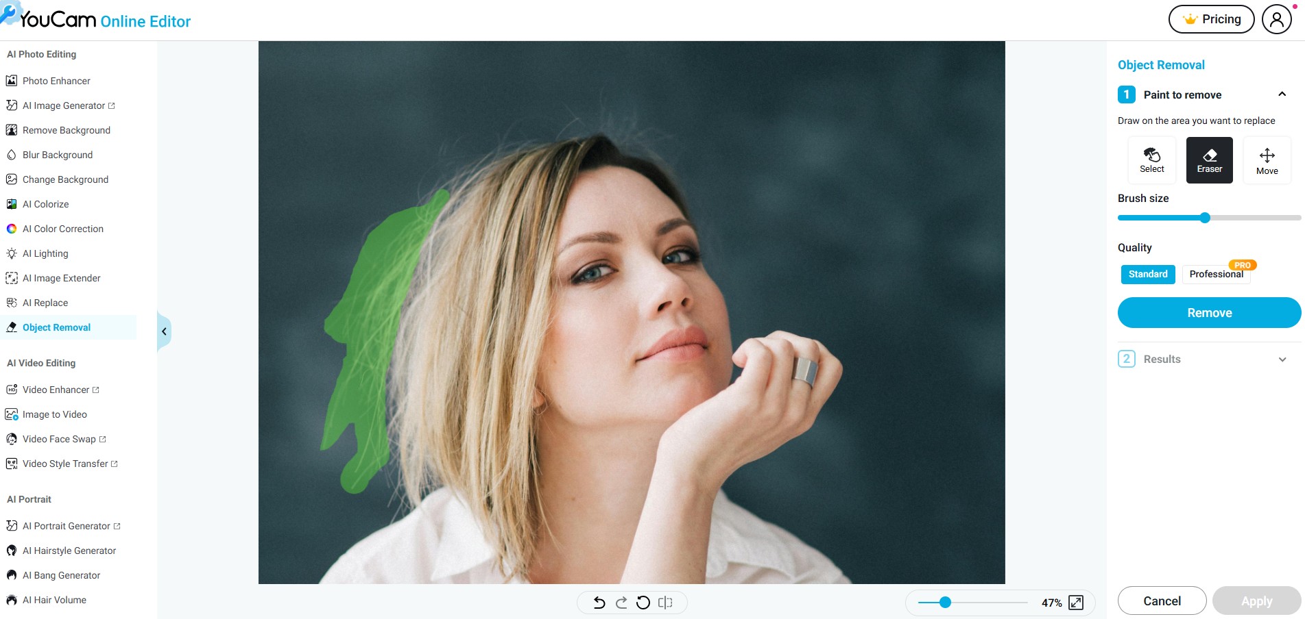 edit flyaway hair for free online