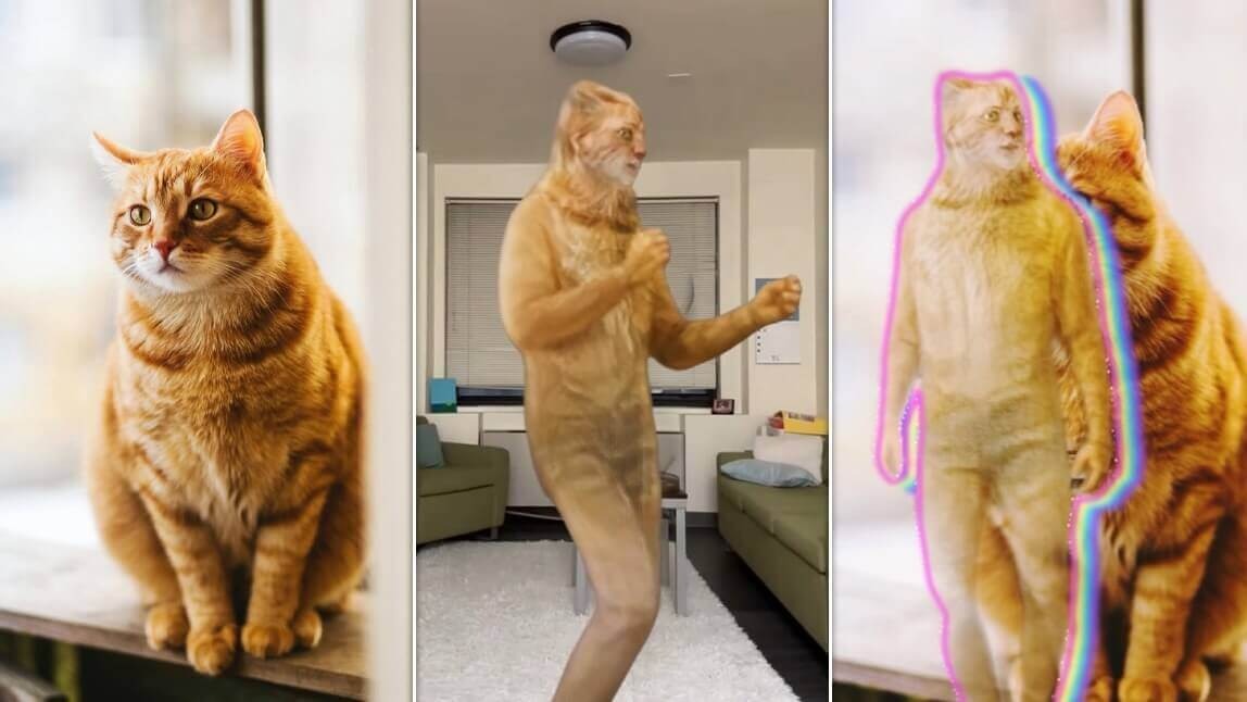 Exemplo de como fazer foto dançar com IA: a foto de um gato é transformada em um vídeo de IA dance.