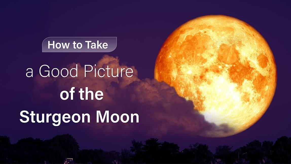 How to Take a Good Picture of the Sturgeon Moon