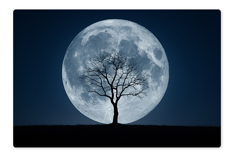 Try foreground and silhouettes for your moon