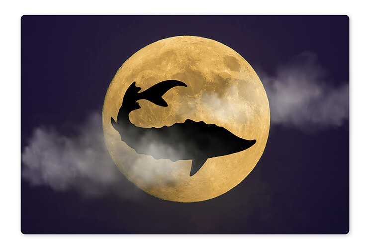 What’s a Sturgeon Moon?