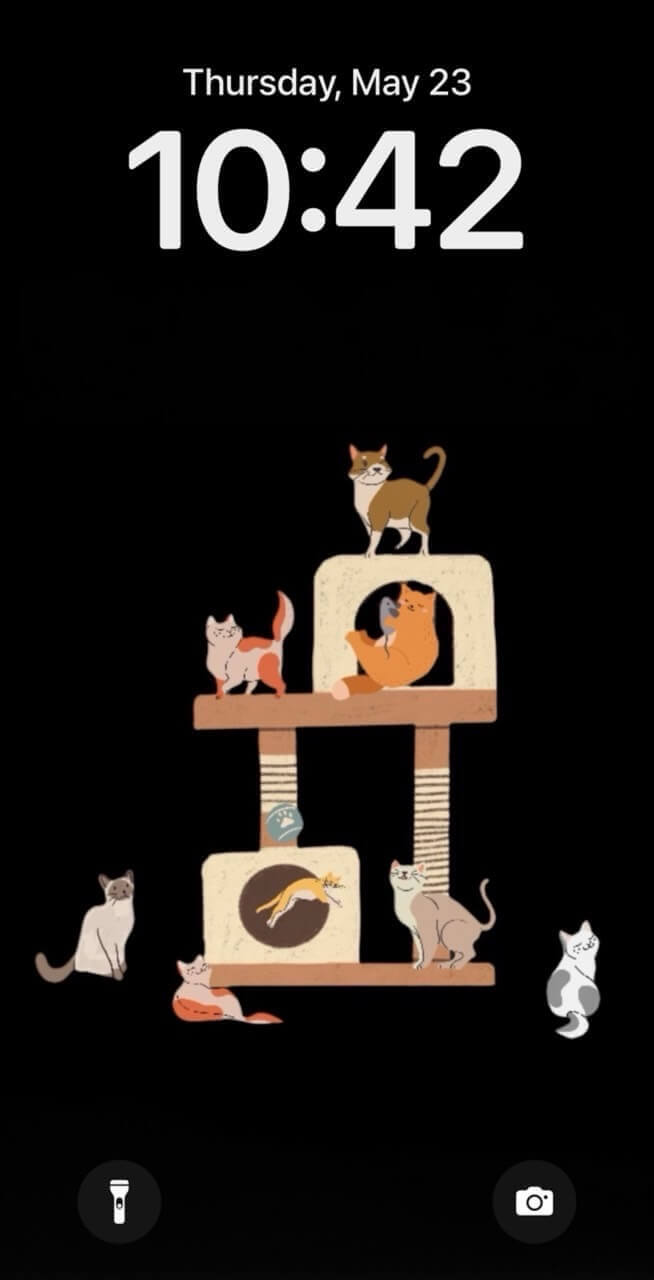 Cat Language Wallpaper