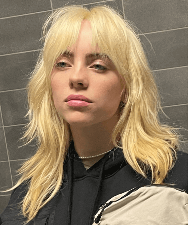 billie eilish with a wolf hair cut