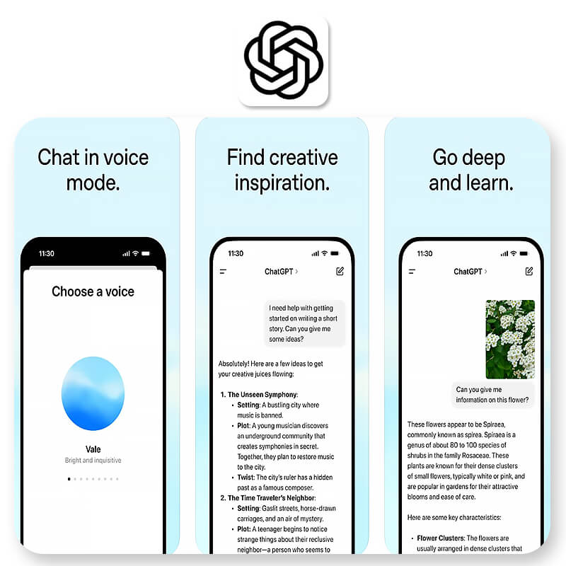 ChatGPT on app store