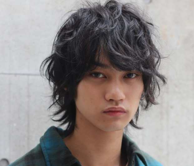 Coupes cheveux longs homme : Wolfcut
