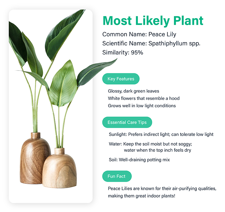 app to identify plants