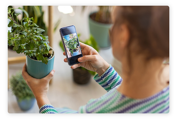 plant identifier app