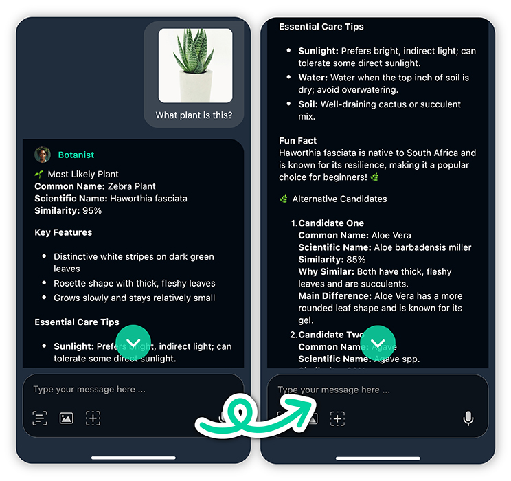 free plant identification app for iphone