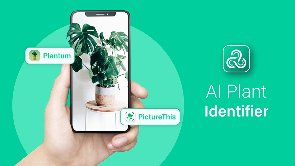 AI Plant Identifier: How to Identify Plants with YouCam AI Chat