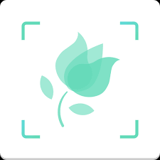 free plant identification app for iPhone