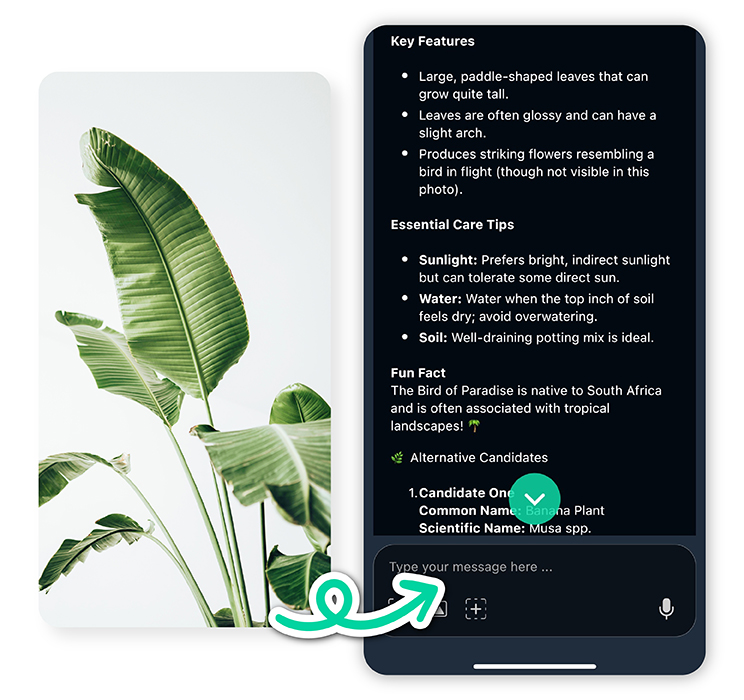 plant recognition app