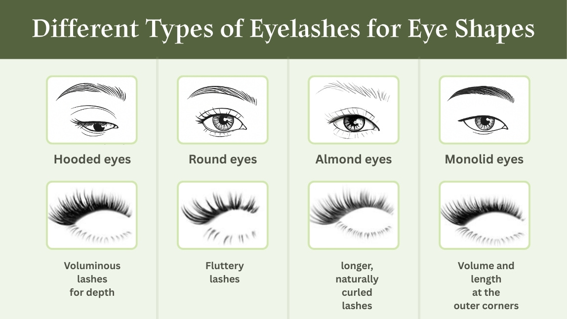Different Types of Eyelashes for Eye Shapes
