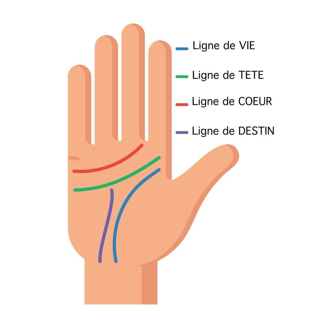 Lire ligne de la main gratuit : chiromancie IA