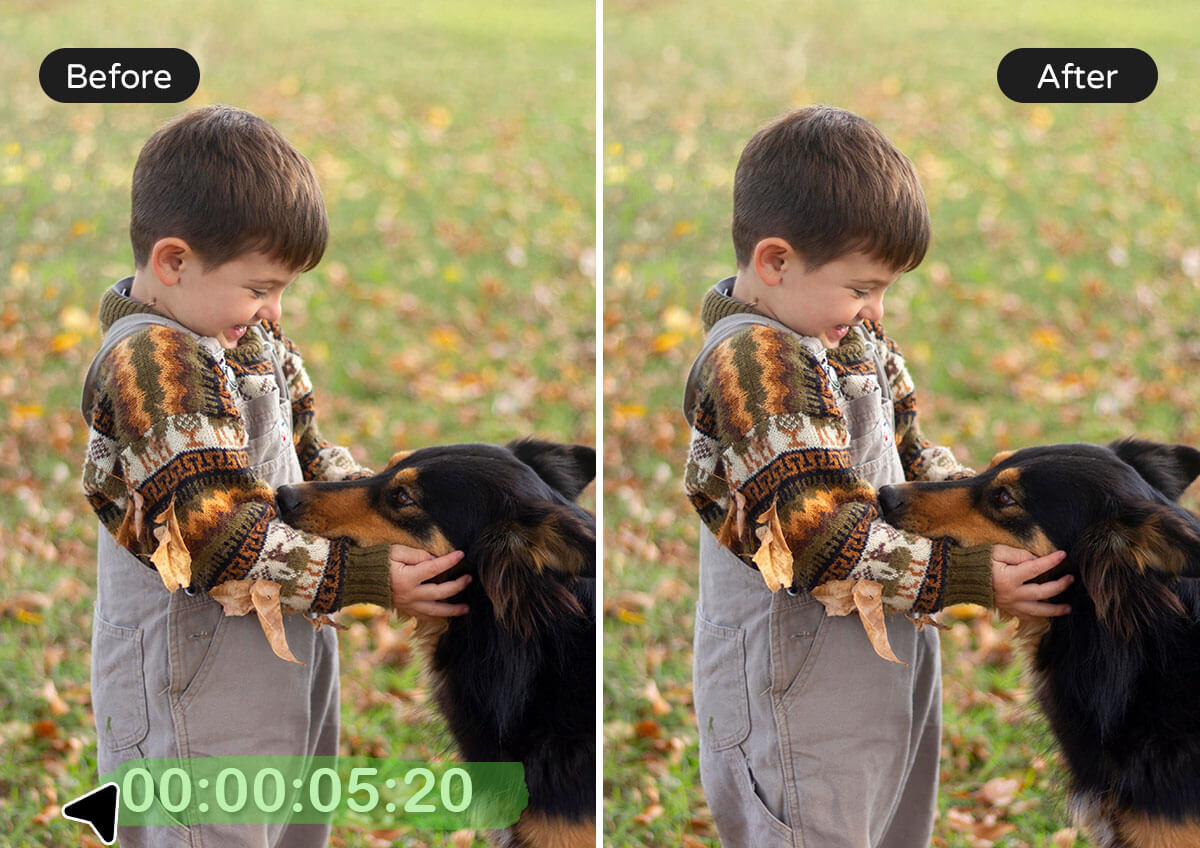Remove Time and Date Stamps from Video