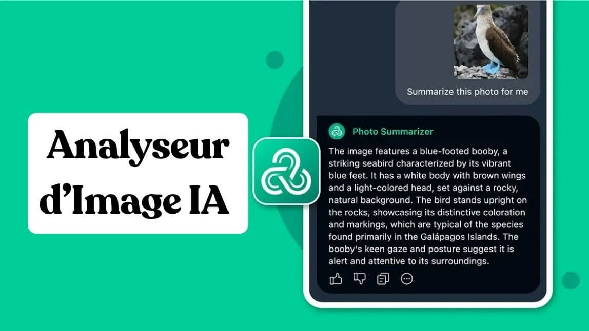 Analyseur de photo IA : obtenez des descriptions de vos images