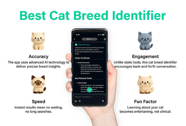 Download the best cat identifier app now.
