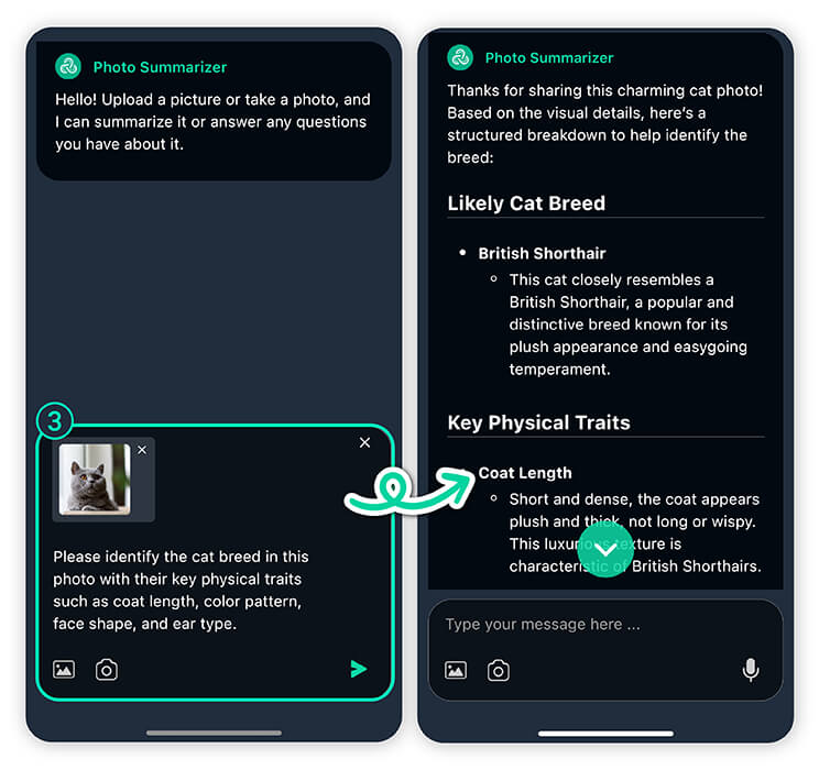 Try the best cat breed identification app now!