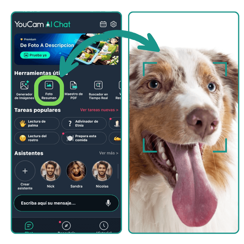 App para saber que raza es mi perro