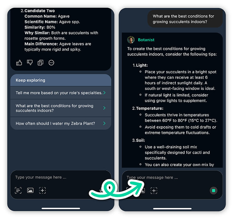 app para identificar plantas app para identificar plantas