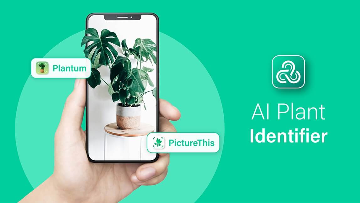 app para identificar plantas