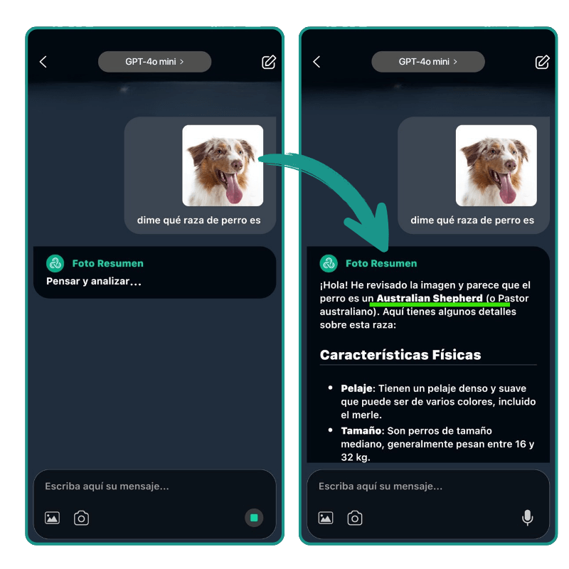 App para saber que raza es mi perro