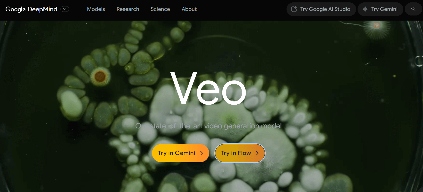 Gemini AI 3D 公仔動起來 App 推薦 : Google Veo 3