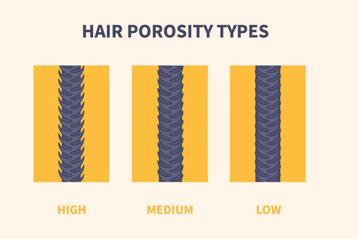 Porosity means how's the hair's ability to absorb water and moisture.