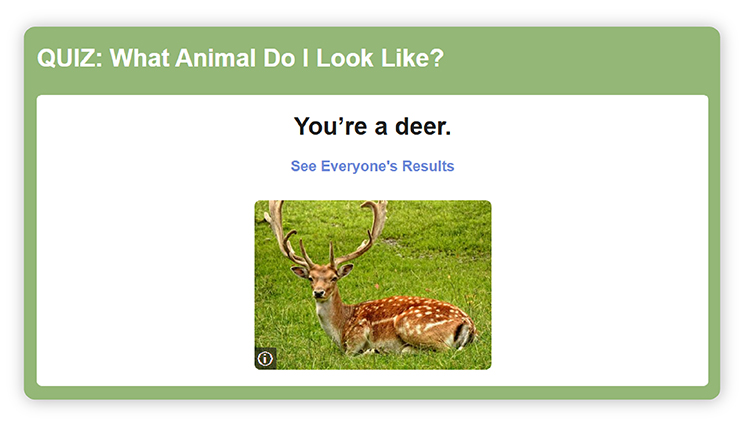 What Animal Do I Look Like Quiz