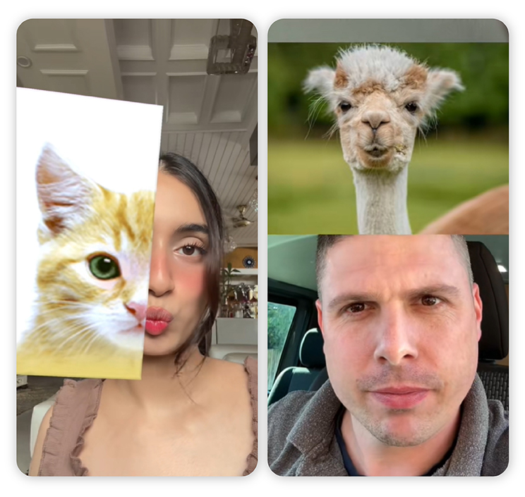 What animal do I look like filter on TikTok
