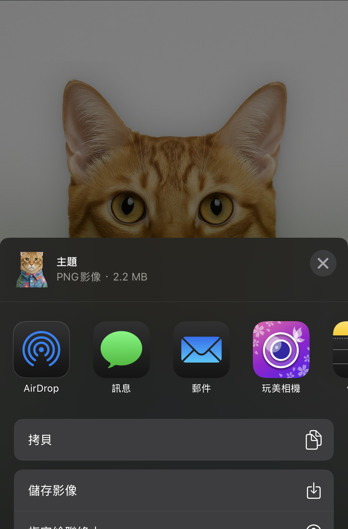 iPhone摳圖App-免費摳圖軟體-AI線上摳圖換背景	