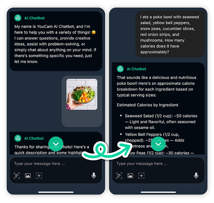 Take a photo of your meal and try the best calorie calculator app.