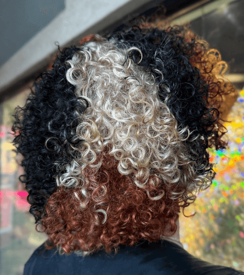 Calico curly bob