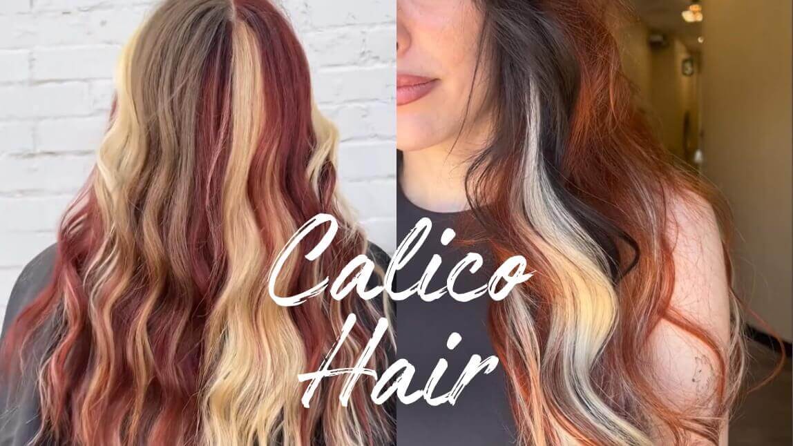 Calico hair color ideas