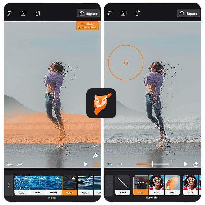 Bilder animieren mit Motionleap