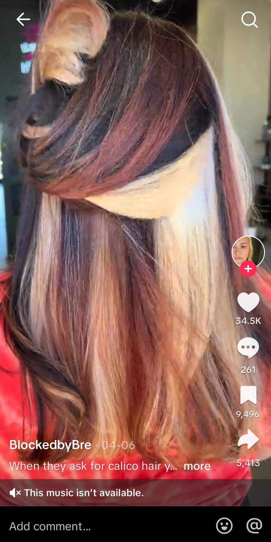 Calico hair with platinum and red highlights