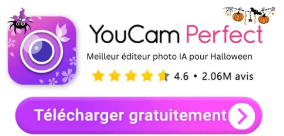 Télécharger YouCam Perfect