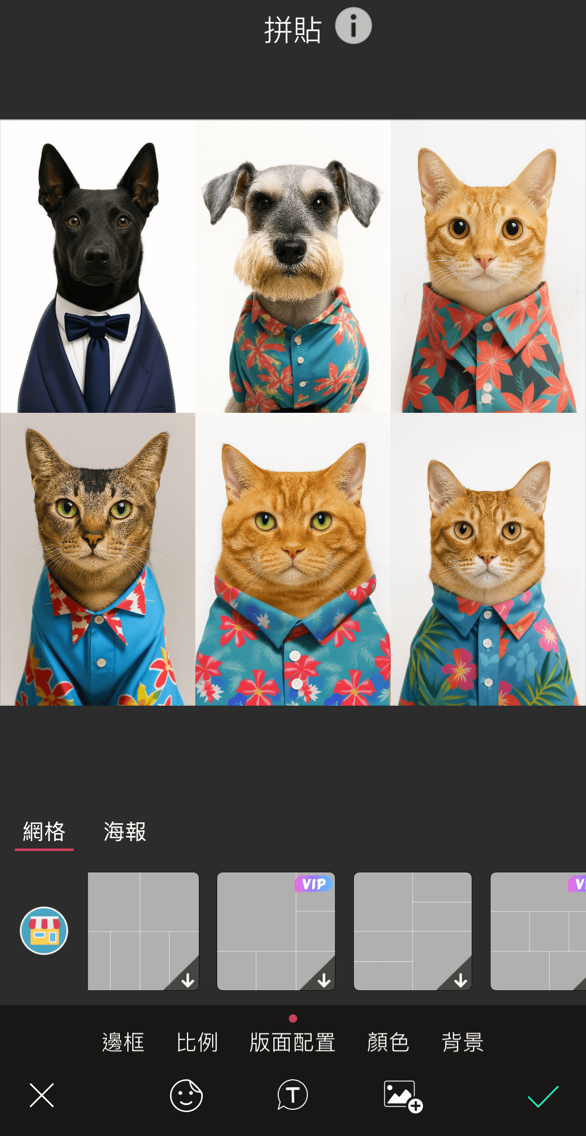 寵物九宮格桌布-寵物證件照-寵物身分證